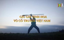 Giữ gìn tinh hoa Võ cổ truyền Việt Nam