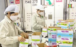 Cơ duyên với nghề sản xuất chế phẩm sữa | Người tốt quanh ta | 21/03/2024