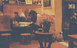Tìm Hà Nội xưa trong quán cafe nhạc Trịnh