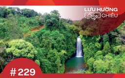 Kon Tum nỗi nhớ như rừng