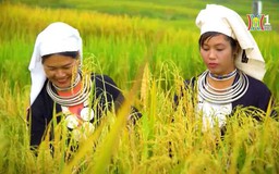 Du lịch Tuyên Quang - tiềm năng và cơ hội hợp tác | Trăm miền hội tụ | 29/03/2024