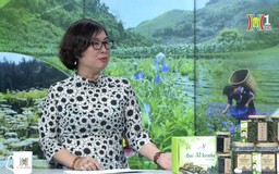 Dược liệu Việt | Con đường doanh nhân | 31/03/2024