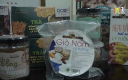 Xây dựng sản phẩm OCOP từ cây nấm | Mỗi xã một sản phẩm | 01/04/2024
