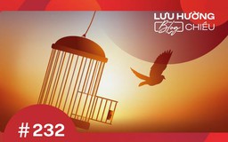 Bay khỏi cánh cửa lồng tự khóa