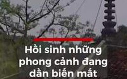 Hồi sinh những phong cảnh đang dần biến mất