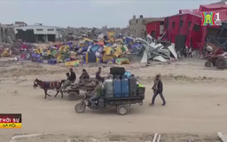 Gần 34.000 người Palestine chết vì xung đột ở Dải Gaza