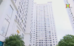 Cơn sốt giá ảo thị trường chung cư đã dừng tăng nhiệt
