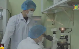 Sửa Luật Thủ đô để nhân tài ở lại Hà Nội