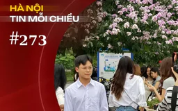 Người Hà Nội yêu hoa bằng lăng hơn vàng | Hà Nội tin mỗi chiều