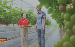Luật Thủ đô (sửa đổi) mở đường cho nông nghiệp tập trung