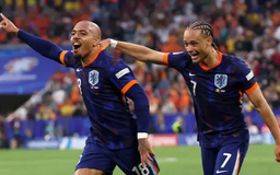 Romania 0 - 3 Hà Lan: Cơn lốc lộ diện