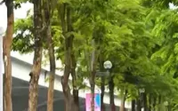 Đường Phạm Văn Đồng xanh mát và hiện đại