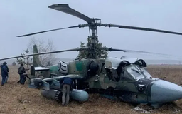 Trực thăng Ka-52 của Nga tấn công quân Ukraine ở gần Kursk