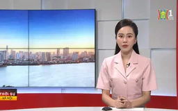 Chương trình Thời sự 11h30 | 11/08/2024