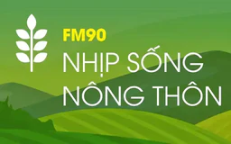 Nhịp sống nông thôn | 16/08/2024