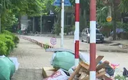 Nhếch nhác vườn hoa Trần Quang Diệu