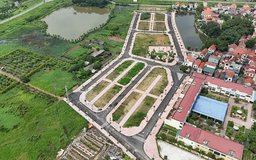 Giới đầu cơ “kích sóng” thông qua đấu giá đất