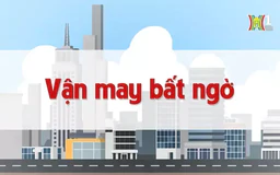 Vận may bất ngờ | Chuyện quanh ta | 26/08/2024