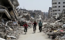 Ngành nông nghiệp ở Dải Gaza tê liệt do xung đột