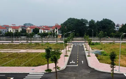 Tạm dừng đấu giá để điều chỉnh giá khởi điểm phù hợp