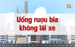 Uống rượu bia không lái xe | Chuyện quanh ta | 30/08/2024