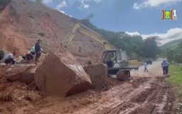 Công điện khẩn của Cục Đường bộ ứng phó bão số 3