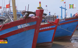 100% tàu thuyền tại Nam Định đã về tránh bão an toàn