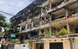 Di dời 160 dân chung cư A7 Tân Mai tránh bão Yagi ngay trong đêm