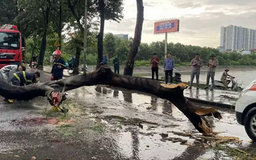 Khuyến cáo người dân không ra đường khi bão đổ bộ