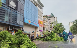 Hà Nội tăng cường thông tin báo chí cảnh báo bão Yagi