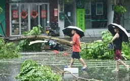 Siêu bão Yagi có thể đổ bộ lần 3 vào Trung Quốc