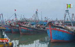 Quảng Bình cấm biển từ 18 giờ ngày 6/9
