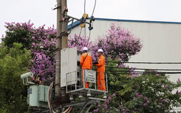 Tập trung khắc phục lưới điện, hệ thống thông tin