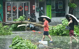 Trung Quốc: hai người chết do siêu bão Yagi