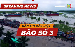 Breaking News - Bản tin đặc biệt 8h (7/9) về bão Yagi