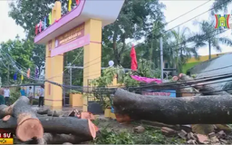 Phòng chống sạt lở, lũ quét sau bão tại Tuyên Quang