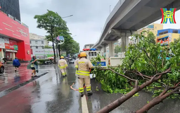 Báo cáo nhanh thiệt hại ban đầu do bão số 3