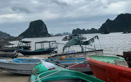 Sau bão, nhiều người dân Quảng Ninh thiệt hại hàng tỷ đồng