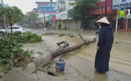 Hỗ trợ khẩn cấp hai tỉnh Điện Biên và Sơn La