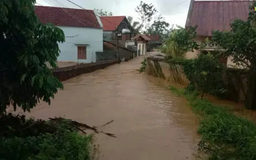 Bác thông tin vỡ đê ở Phú Thọ và Quảng Ninh