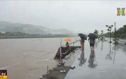 49 người chết, 22 người mất tích do bão, lũ