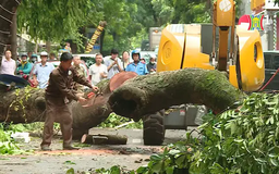 Đảm bảo vệ sinh môi trường sau bão
