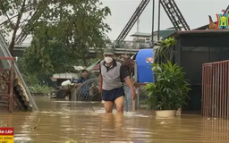 Quận Ba Đình đưa dân ven sông Hồng đến nơi an toàn