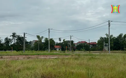 Đấu giá đất Phúc Thọ, thửa cao nhất 69,8 triệu/m2