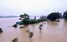 Lũ trên sông Lô đạt đỉnh 27,73m, trên báo động 3