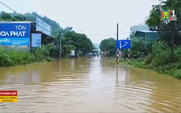 Cánh đồng Quang Kim ngập sâu trong nước lũ
