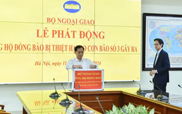 Bộ Ngoại giao phát động ủng hộ đồng bào vùng bão lũ