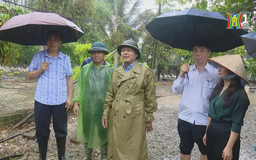 Chương Mỹ mất gần 15.000 gia súc, gia cầm do bão
