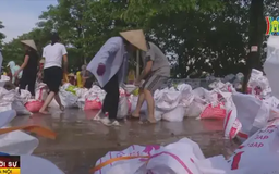 Mỹ Đức ứng phó mưa lũ