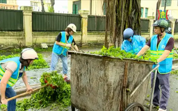 Quận Ba Đình khắc phục sự cố sau bão số 3